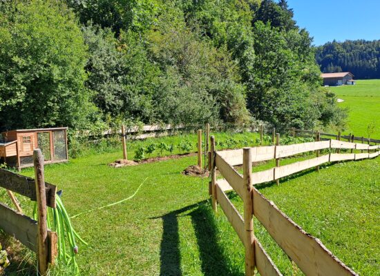 Himbeer Garten