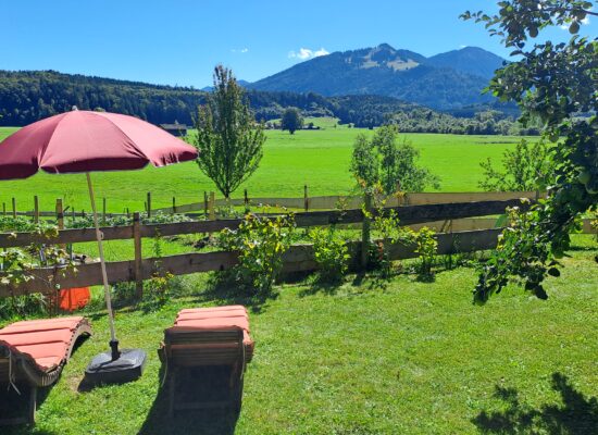 Bergblick